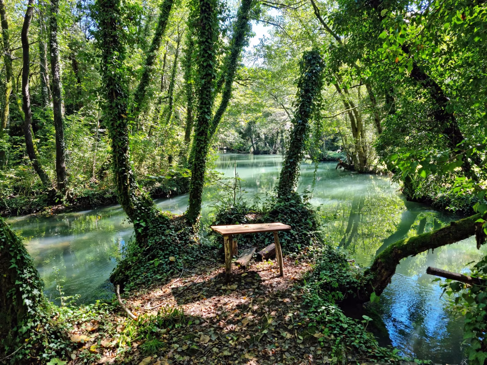 Anketa: Rituál začátku nebo konce? - fotografie 2