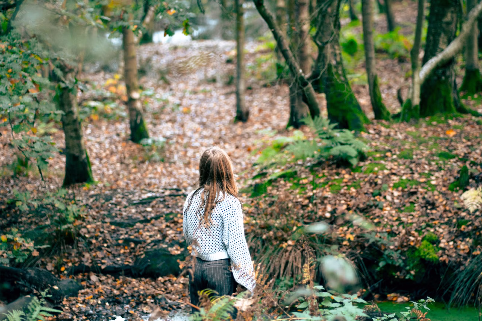 Anketa: Ukotvení v přírodě? - fotografie 3
