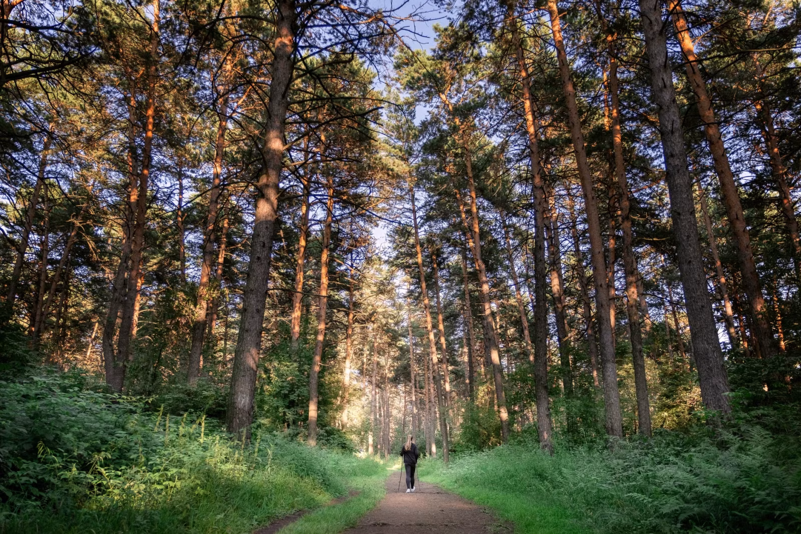 Umění improvizovat: Jak změnit perspektivu, když život nejde podle plánu - fotografie 2